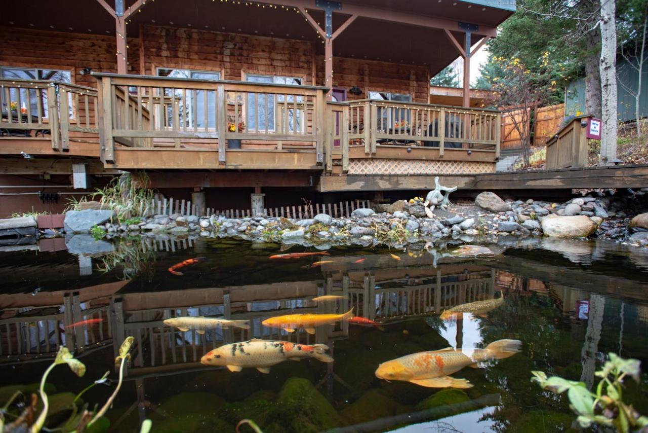 Bear Creek Winery And Lodging Homer Exterior foto