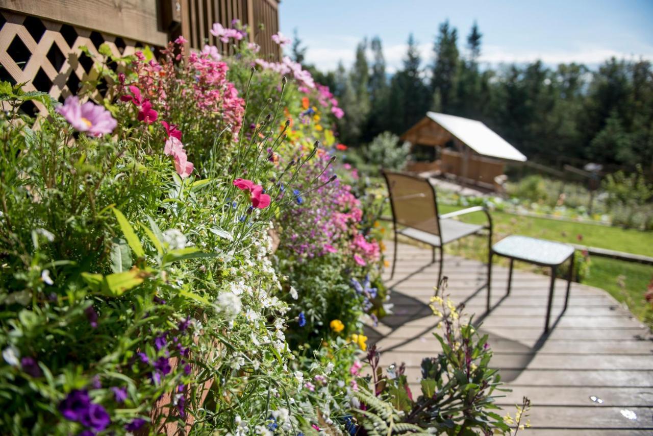 Bear Creek Winery And Lodging Homer Exterior foto
